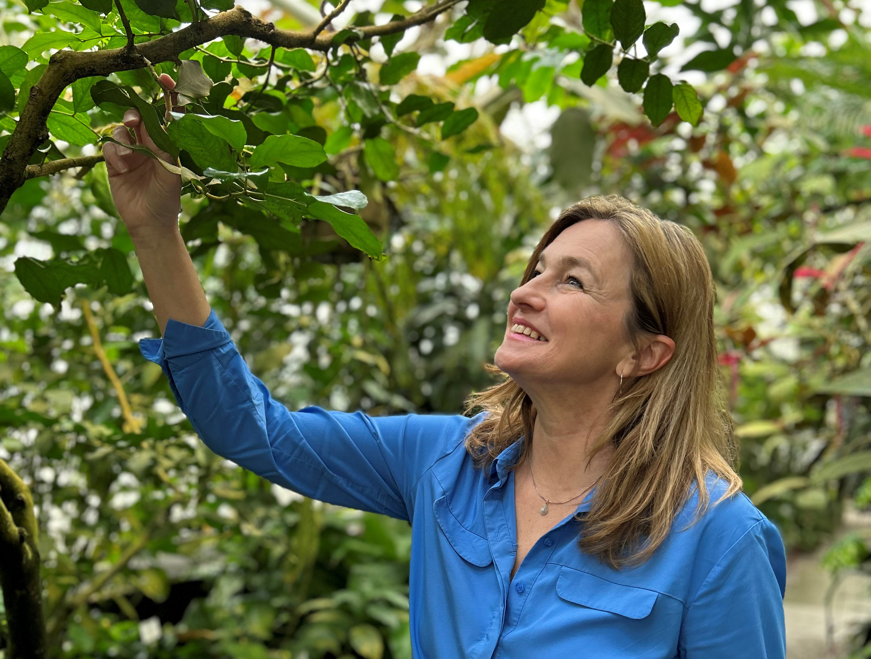 Iska Schreglmann Baum in der Natur, Botanischer Garten Muenchen